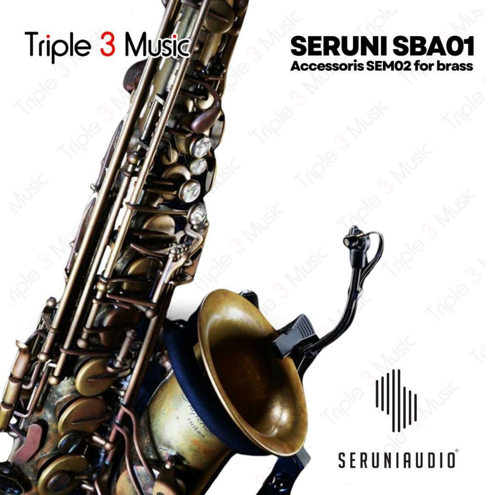 Aksesoris Seruni audio