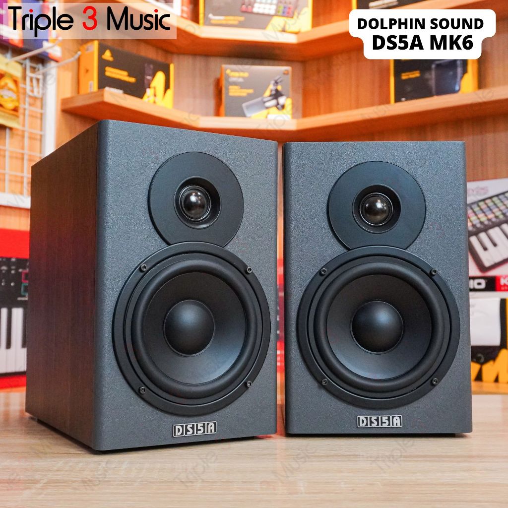 Dolphin sound ISK DS5A MK6 Speaker monitor Flat
