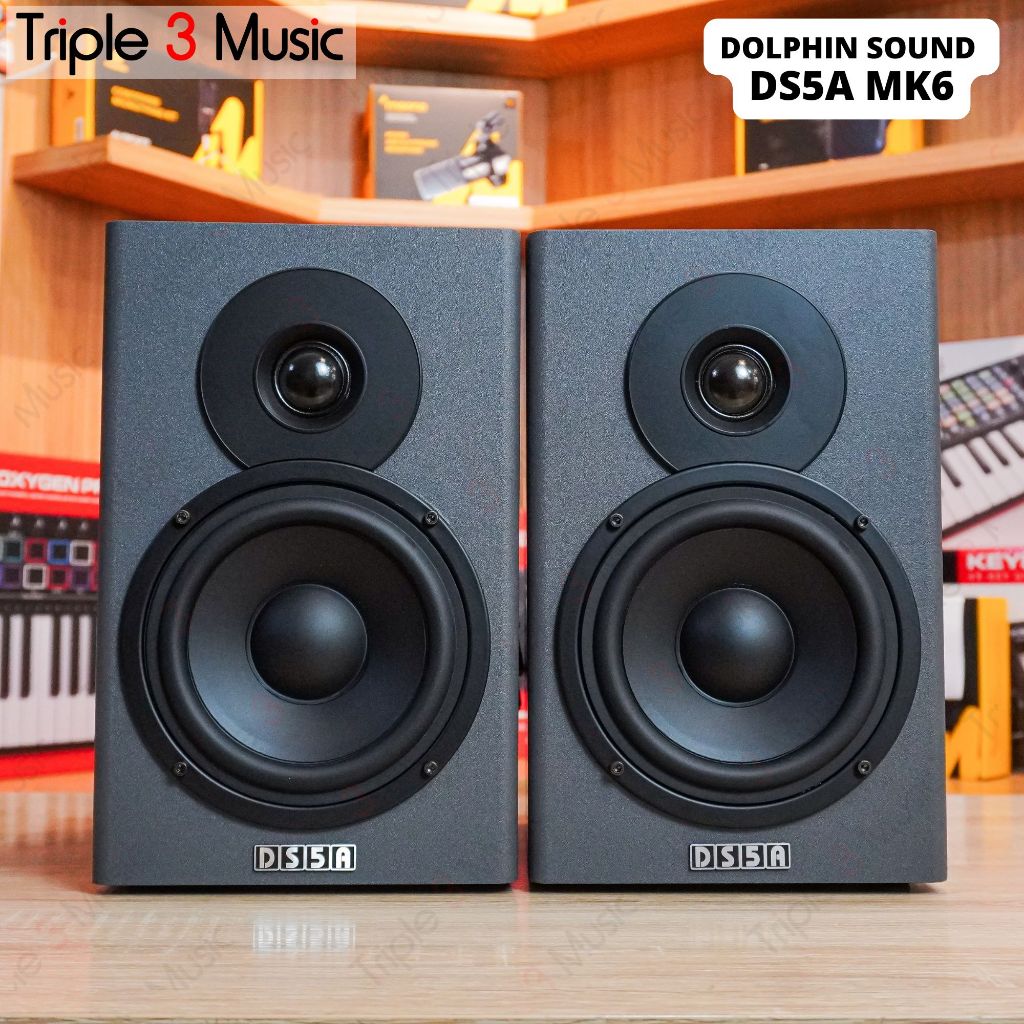 Dolphin sound ISK DS5A MK6 Speaker monitor Flat