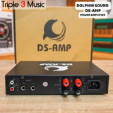 DS Amp Amplifier Speaker Pasif Amply Speaker