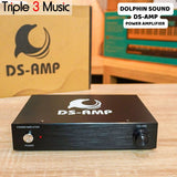 DS Amp Amplifier Speaker Pasif Amply Speaker